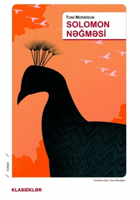 An image of a product called Dil: Azərbaycan  Muellif: Toni Morrison  Janr: Ədəbiyyat  Marka: Qanun Nəşriyyatı