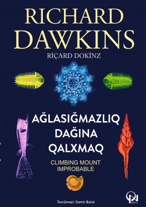 Ağlasığmazlıq dağına qalxmaq