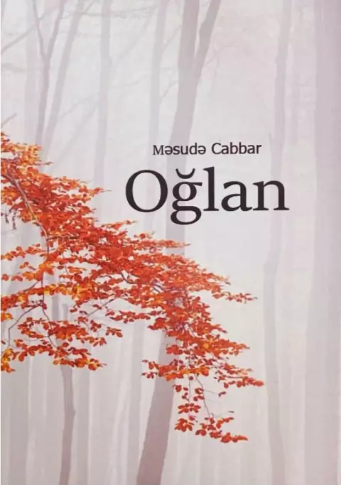 An image of a product called Oğlan