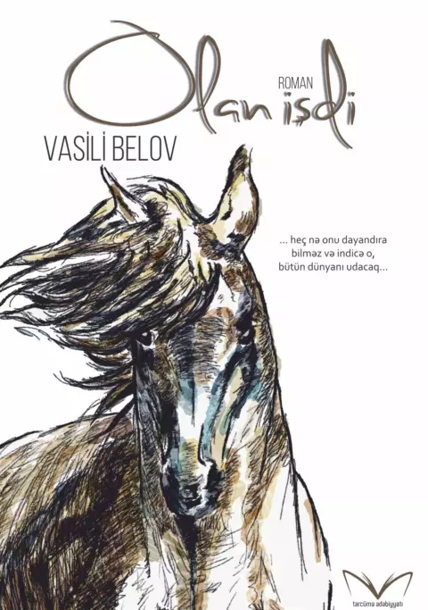 Olan işdi
